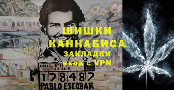 соль ск Алексин