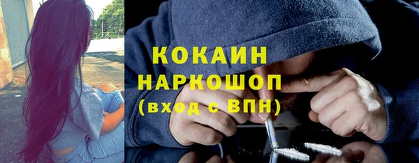 соль ск Алексин