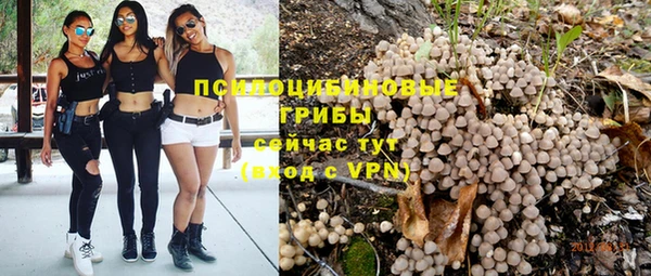 хмурый Алексеевка