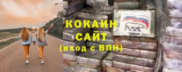 соль ск Алексин