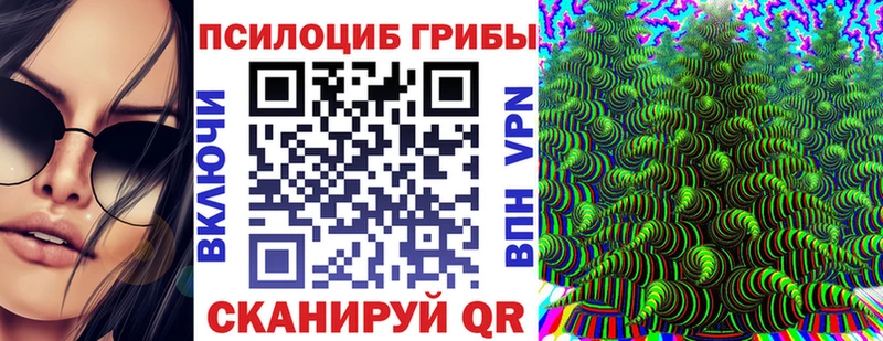 как найти закладки  Киселёвск  ОМГ ОМГ маркетплейс  Псилоцибиновые грибы ЛСД 